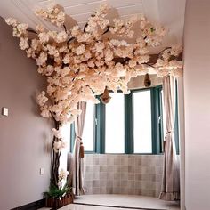 a room that has some flowers on the ceiling and windows in front of it,