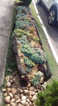 a long wooden bench covered in lots of succulents next to a road