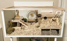 Large hamster cage made by hand from IKEA tabletops for a hamster named Lilah Hamster Cage Ideas 40 Gallon Tank, Diy Syrian Hamster Cage, Glass Hamster Cage, Hamster Cage Tank, Custom Hamster Cage, 20 Gallon Hamster Tank Ideas, Hamster Aquarium Ideas, 40 Gallon Hamster Tank Ideas