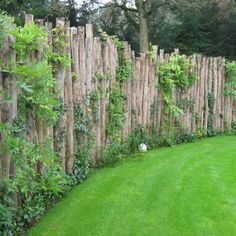 a wooden fence is surrounded by green grass