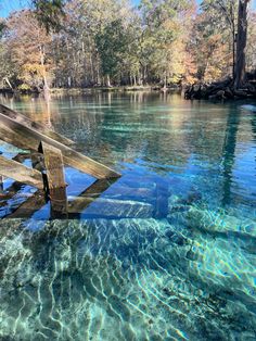 the water is crystal blue and clear, but it's not too clear for us to see