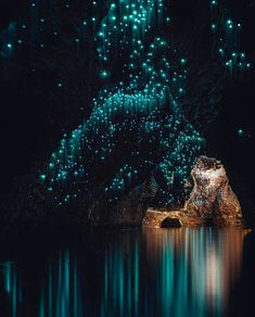 the water is full of glowing lights and rocks