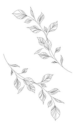 a branch with leaves on it is shown in black and white, as well as the outline