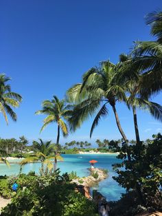 palm trees and blue water in the middle of a tropical area with people on it