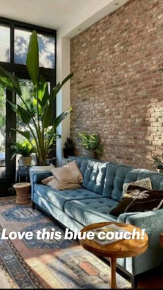 a living room filled with furniture and a brick wall next to a large potted plant