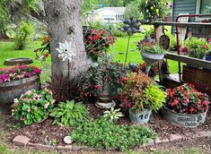 an assortment of potted plants and flowers in front of a tree on the lawn