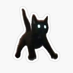 a black cat with glowing eyes on its back