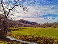 a river running through a lush green field