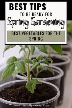 three plastic pots with plants in them and the words best tips to be ready for spring gardening