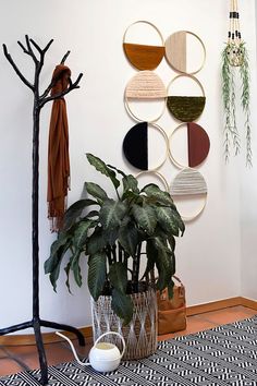 a plant in a pot on the floor next to a wall hanging with circular circles