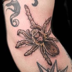 a spider tattoo on the back of a man's arm