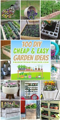 many different types of plants and flowers are shown in this collage with the words 100 diy cheap and easy garden ideas