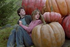 two people sitting on the ground next to giant pumpkins