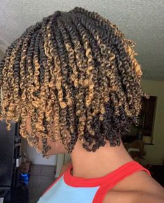 Natural Braid Styles, Afro Puff Hairstyles, Natural Hair Highlights, Frosted Tips, 3c Natural Hair, Hype Hair, Afro Curls