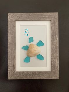 a sea shell and bubbles in a shadow box frame