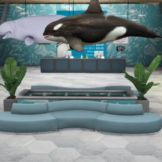 an orca whale is jumping over a couch