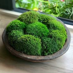 a wooden bowl filled with green moss on top of a table