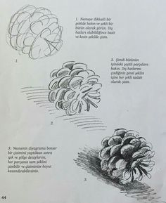 the instructions for pine cones are shown in black and white ink, with an image of them