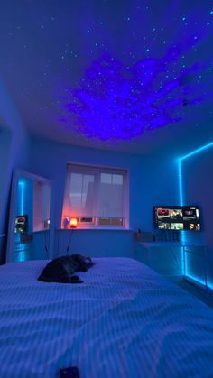 a bed room with a large bed and blue lights on the ceiling