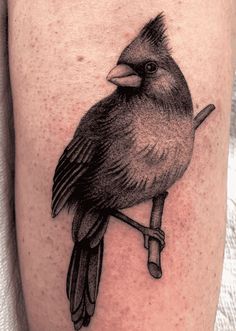 a black and grey bird sitting on a branch tattoo by the talented artist mark strick