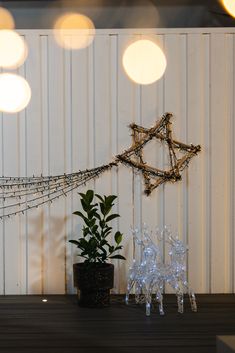 a table topped with a potted plant next to a string light star wall hanging