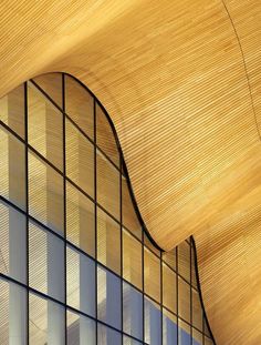 Interesting juxtaposition of curving wooden ceiling and the glass curtain wall. House Roof Design, Glass Curtain Wall, Roof Architecture, Roof Styles, Curtain Wall, Wooden Ceilings, Roof Design, Performing Arts