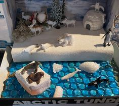 Arctic tundra Arctic Habitat Project, Native American Igloo Project, Polar Bear Habitat Project Kids, Polar Diorama, Bear Diorama, Animal Habitat Project, Igloo Craft