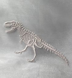 the skeleton of a dinosaur is shown in frost