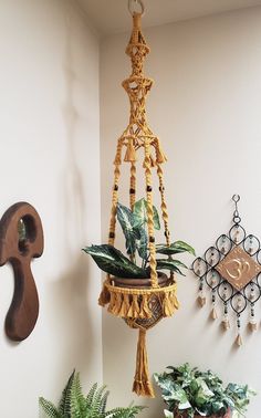 some plants are hanging on the wall in front of a clock and other decorative items