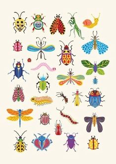 colorful bugs and insects on a white background