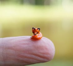 a tiny toy fox sitting on top of a persons finger with it's eyes closed