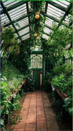 the inside of a greenhouse filled with lots of plants and greenery on both sides