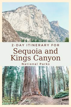 the national park in sequia and kings canyon