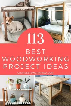 the best woodworking projects for dogs and cats