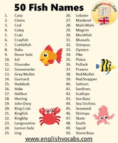 the 50 fish names for children's names