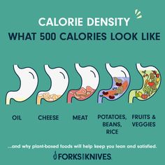 Calorie Density Chart, Calorie Density, Makanan Rendah Kalori, Healthy Vegan Diet, Forks Over Knives, American Diet, 500 Calories