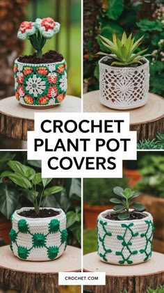 crochet plant pot covers with flowers and plants in them on top of a tree stump