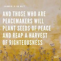 James 3:18 Biblical Quotes Inspirational, James 3, Plant Seeds, Song Of Solomon, Seasons Of Life, Biblical Quotes, God The Father, Life Tips, Faith In God