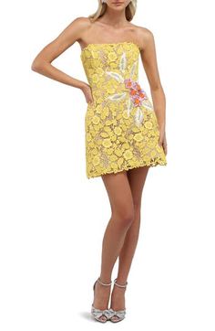 Say cheers at your next garden party in this lovely lace minidress embellished with beautifully embroidered fabric flowers and leaves. 26" center front length (size Medium) Hidden back-zip closure Strapless Lined 100% polyester Dry clean Imported Hispanic & Latinx Owned/Founded Fitted Scallop Lace Mini Dress For Garden Party, Fitted Mini Dress With Scalloped Lace For Garden Party, Sleeveless Spring Floral Applique Lace Dress, Lace Mini Dress For Garden Party, Lace Mini Dress With Floral Embroidery For Garden Party, Scalloped Lace Mini Dress For Garden Party, Fitted Sleeveless Lace Dress With Floral Applique, Mini Lace Dress For Garden Party, Spring Baptism Lace Dress