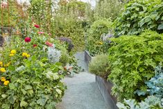 a garden filled with lots of different types of flowers and plants next to each other