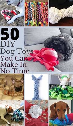 there are many different types of toys in this collage with the words 50 diy dog toys you can make in no time