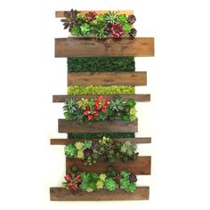 a vertical succulent planter is mounted on the wall with wood planks