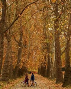 two people riding bikes down a leaf covered road