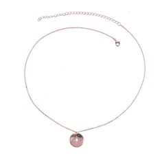 CZ Starburst Coin Necklace Rose Gold Star Charm Pendant Necklace, Rose Gold Pendant Necklace With Star Charm, Compass Star, Celebrate Birthday, Gold Coin Necklace, Necklace Collection, Gold Coin, Silver Coin, Coin Necklace