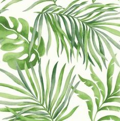 a watercolor painting of green leaves on a white background