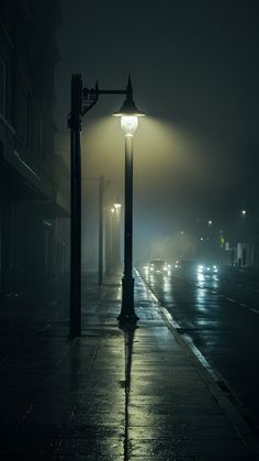 a street light sitting on the side of a wet road in the rain at night