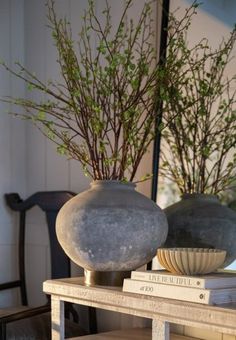 two vases with branches in them sitting on a table next to a book shelf