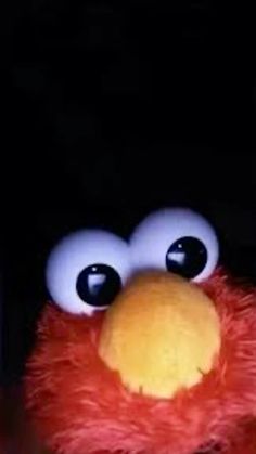 a close up of a stuffed animal in the dark with eyes wide open and one eye slightly closed