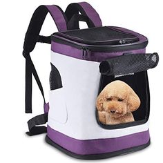 a purple and white cooler bag with a brown dog in it