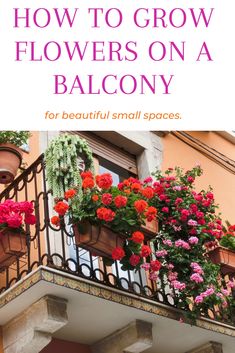 balcony with flowers on balcony and text overlay that reads how to grow flowers on a balcony for beautiful small spaces